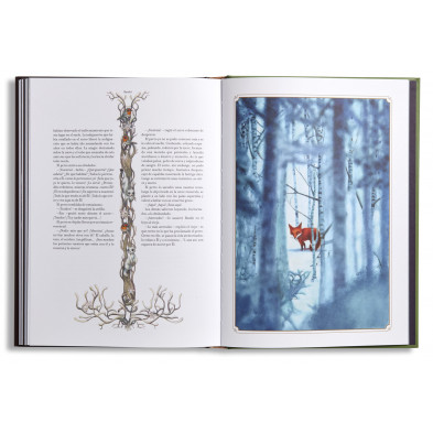 Libro ilustrado - Bambi: una vida en el bosque